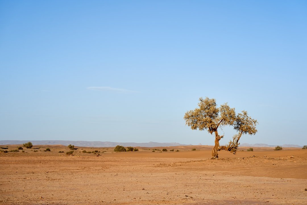 Photo Desert landscape