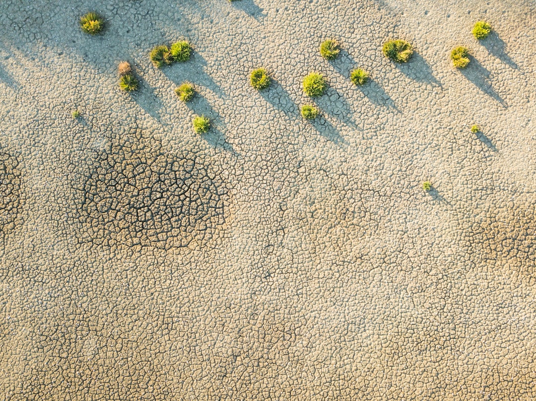 Photo Desert landscape