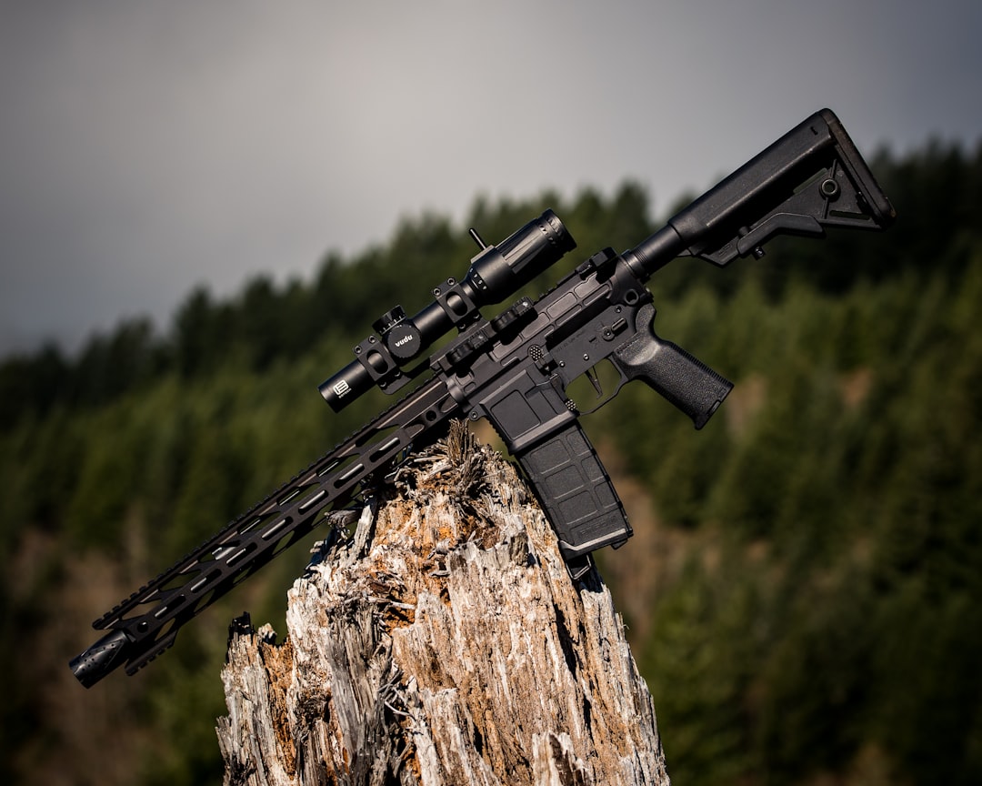 Photo AR-15 rifle