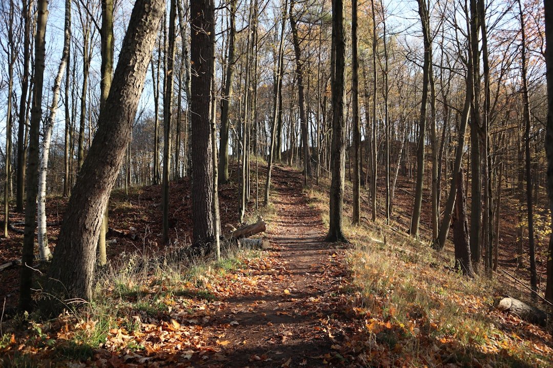 Photo Hiking trail