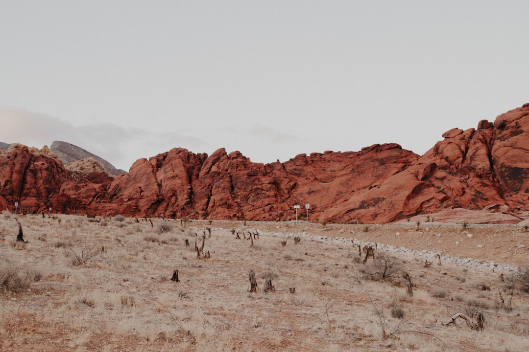 Photo Red Rock Canyon