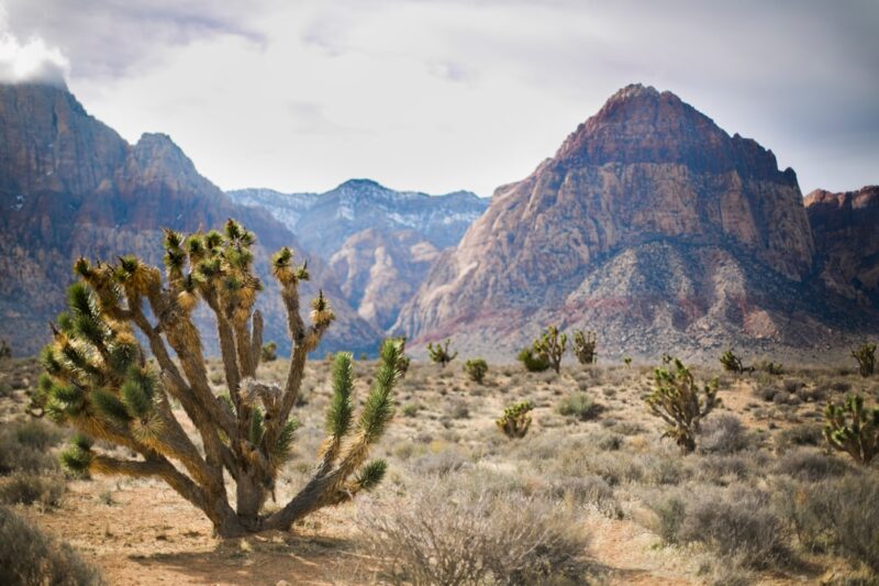 Exploring the Top Hiking Trails Near Las Vegas