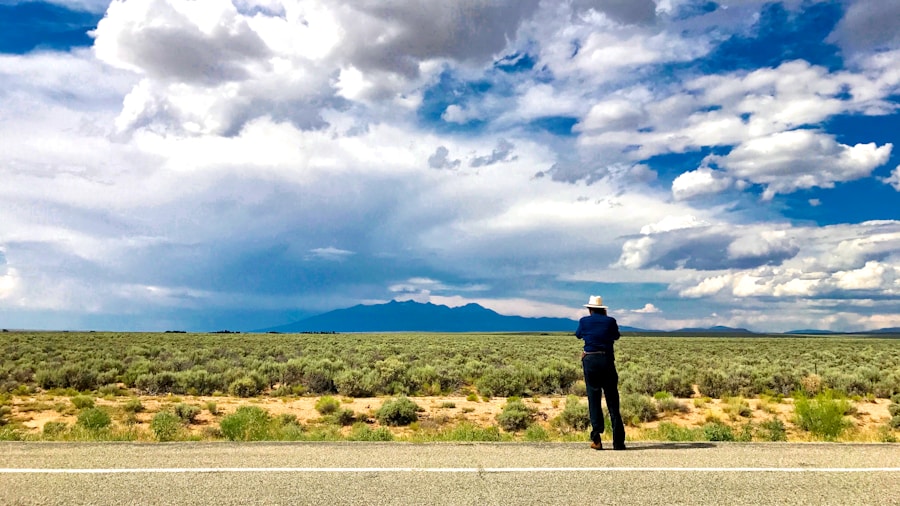 Photo "Could Nevada turn red?"