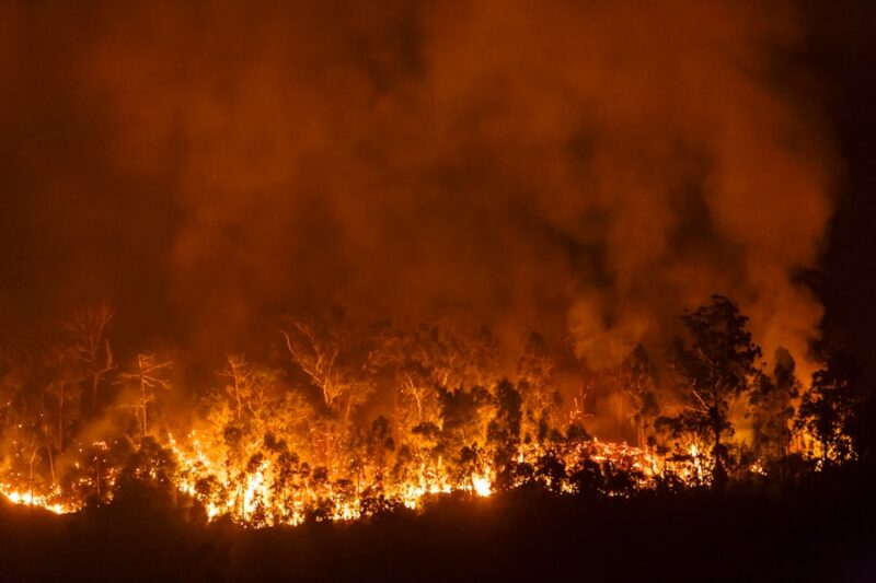 Current Wildfire Activity in Nevada