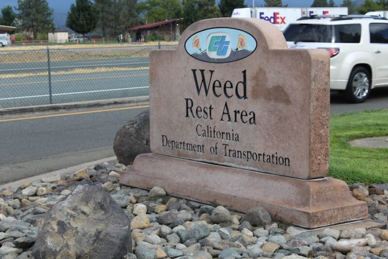 Can Nevada Jobs Test for Weed?
