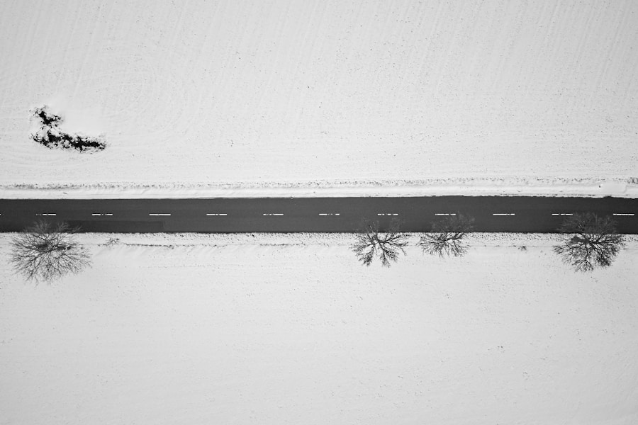 Photo Augustine Nevada
