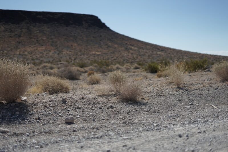 Nevada: Earthquake Alert?