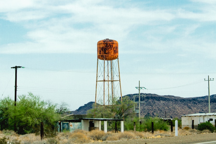 Photo "Did Nevada turn red?"