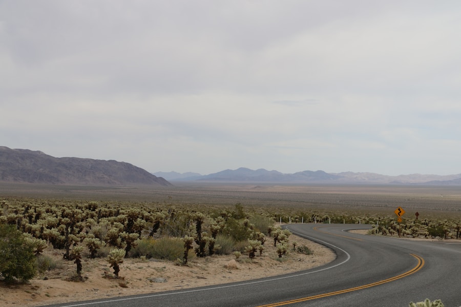 Photo "dmv registration nevada estimates"