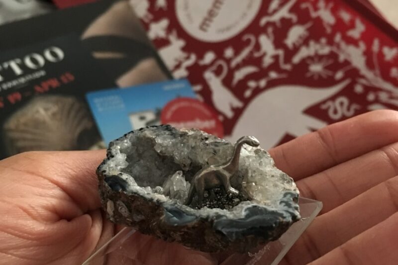 Exploring Nevada: Can You Find Geodes?