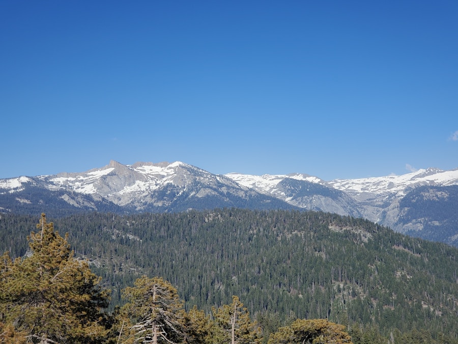 Photo "Among Sierra Nevada in California"