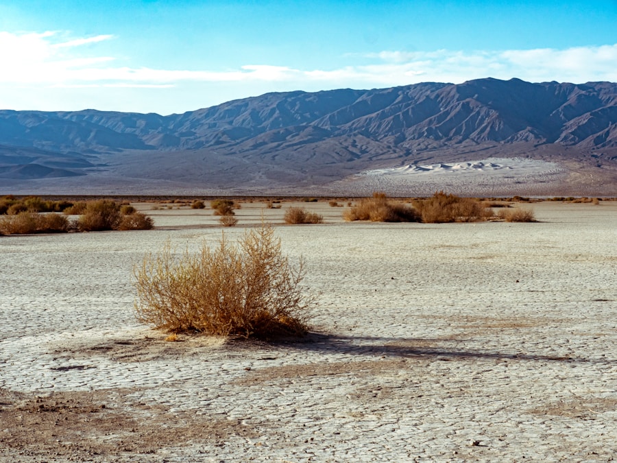 Photo "can you take the nevada permit test online"