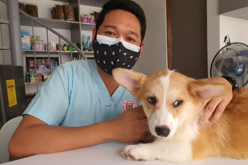 Las Vegas Emergency Vet: Providing Critical Care for Pets