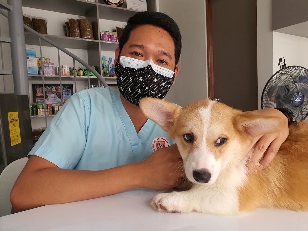 Photo Veterinary clinic