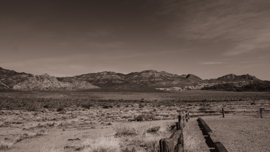 Red Rock Canyon