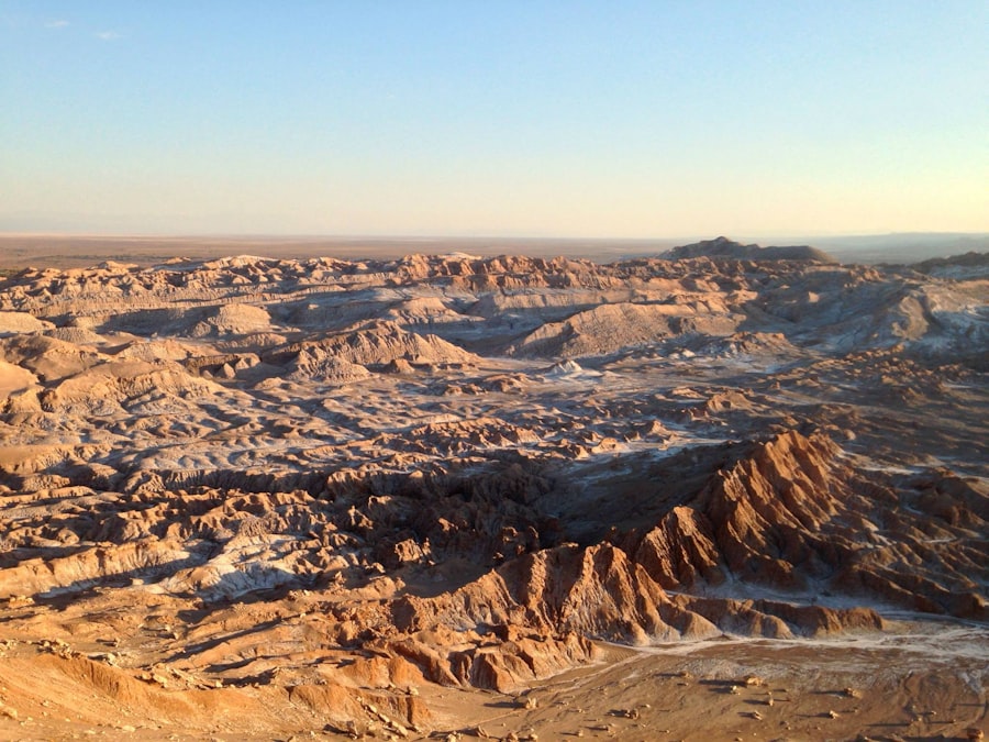 Before: Desert Oasis
After: Glittering Cityscape
