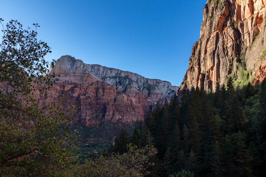 Photo Red Rock Canyon