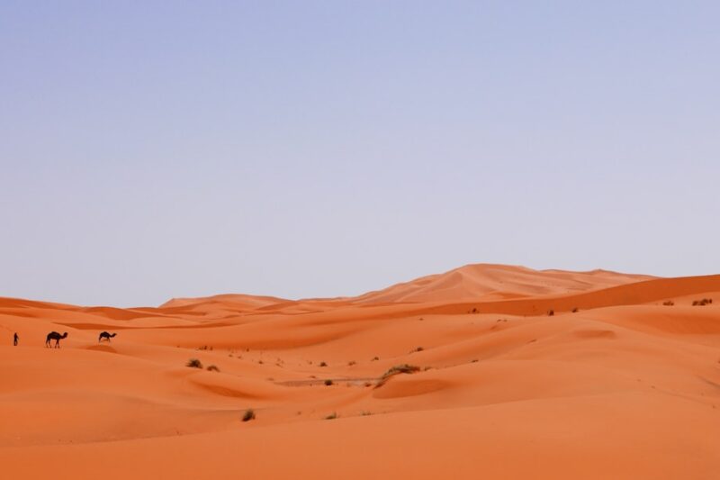 Las Vegas Before Air Conditioning: Surviving the Desert Heat
