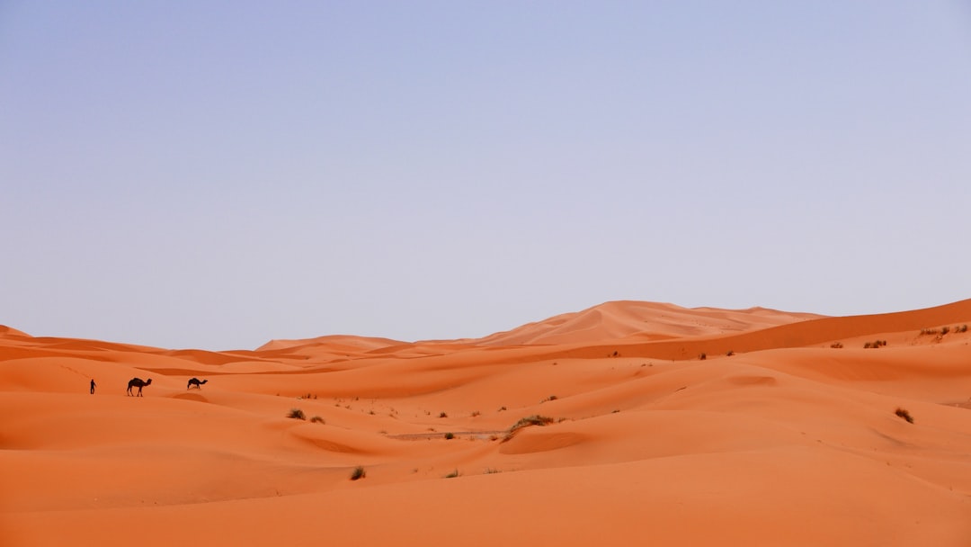 Photo Desert heat