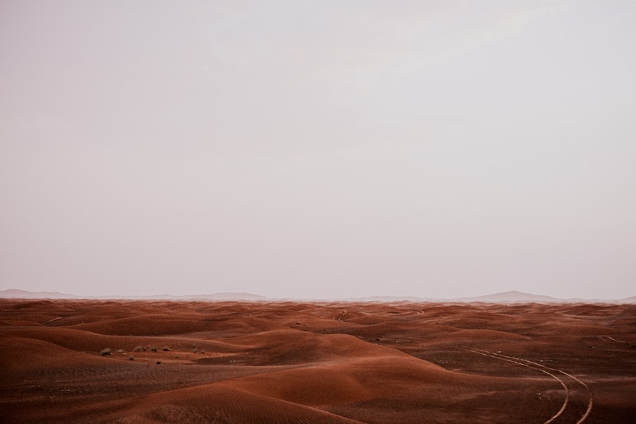 Photo Desert heat