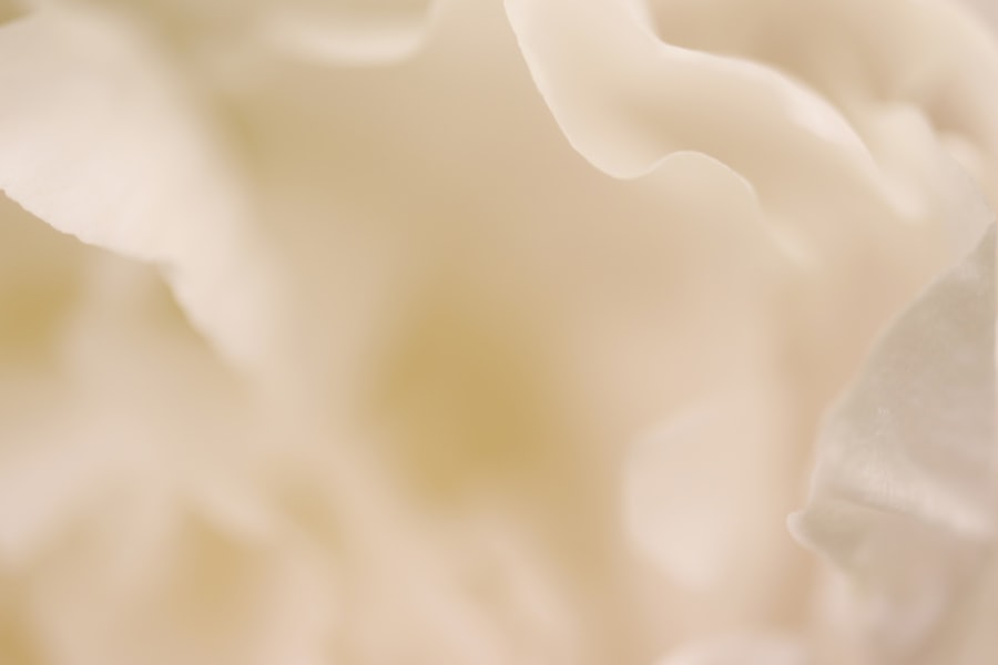Photo firmness cream