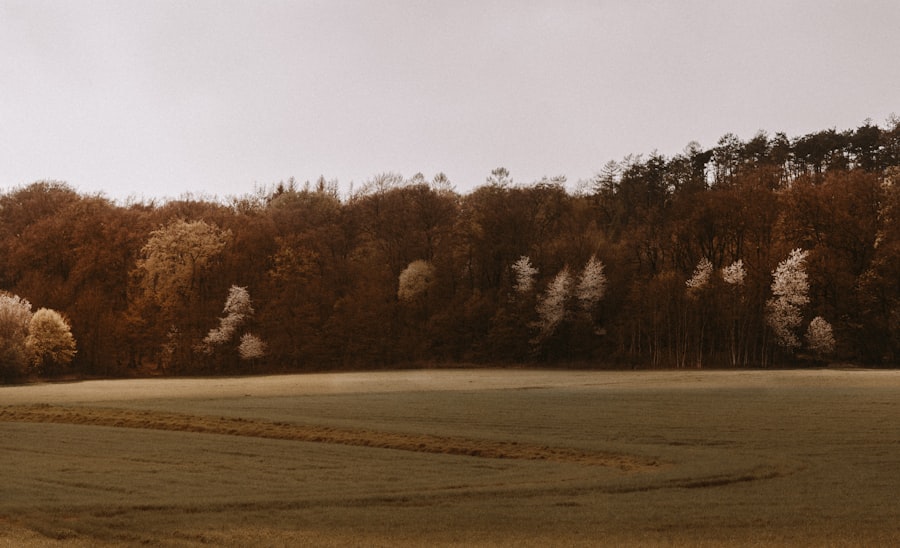 Photo oreillys