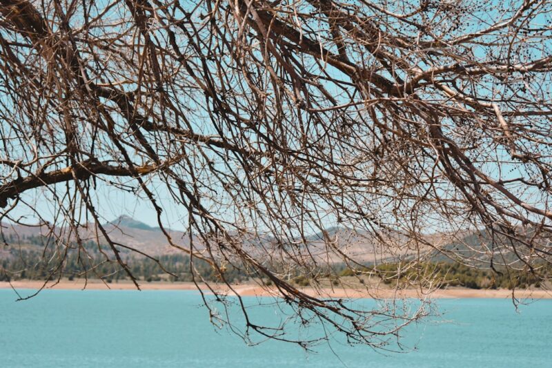 Lake Las Vegas St. Patrick’s Day Celebrations