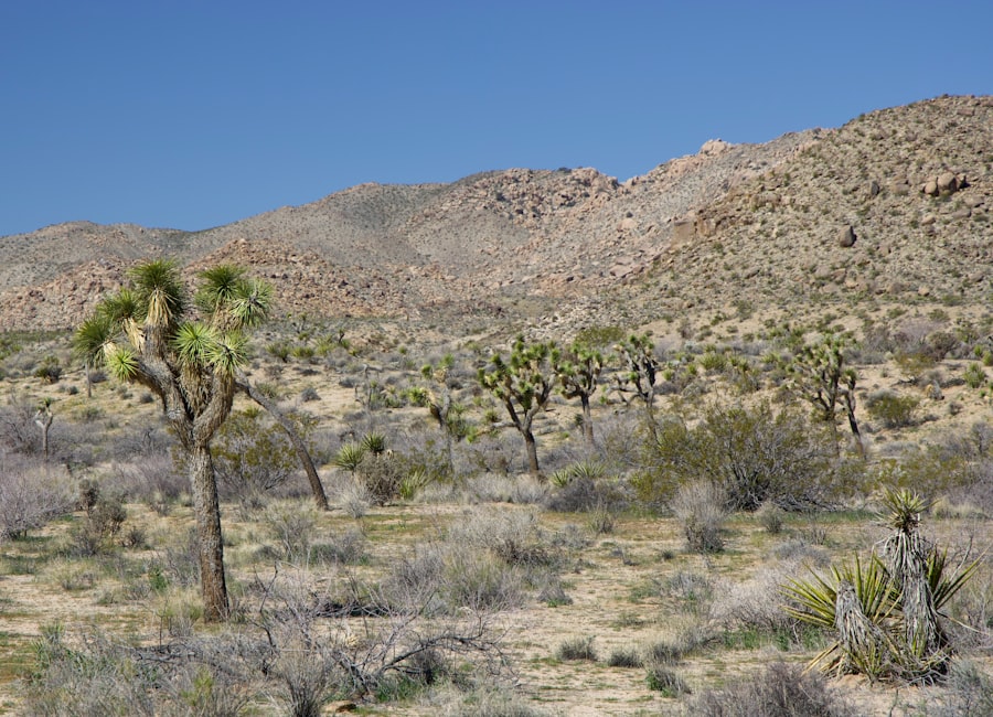 las vegas nature lovers
